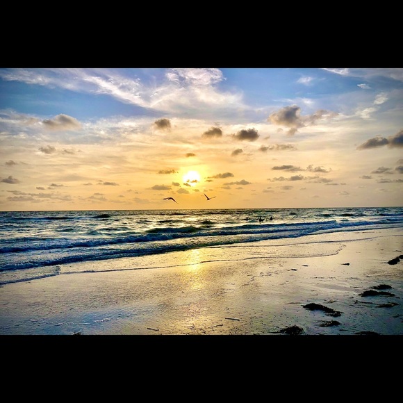 Meet your Posher, “Magic Bay Merchants” - Picture 1 of 1